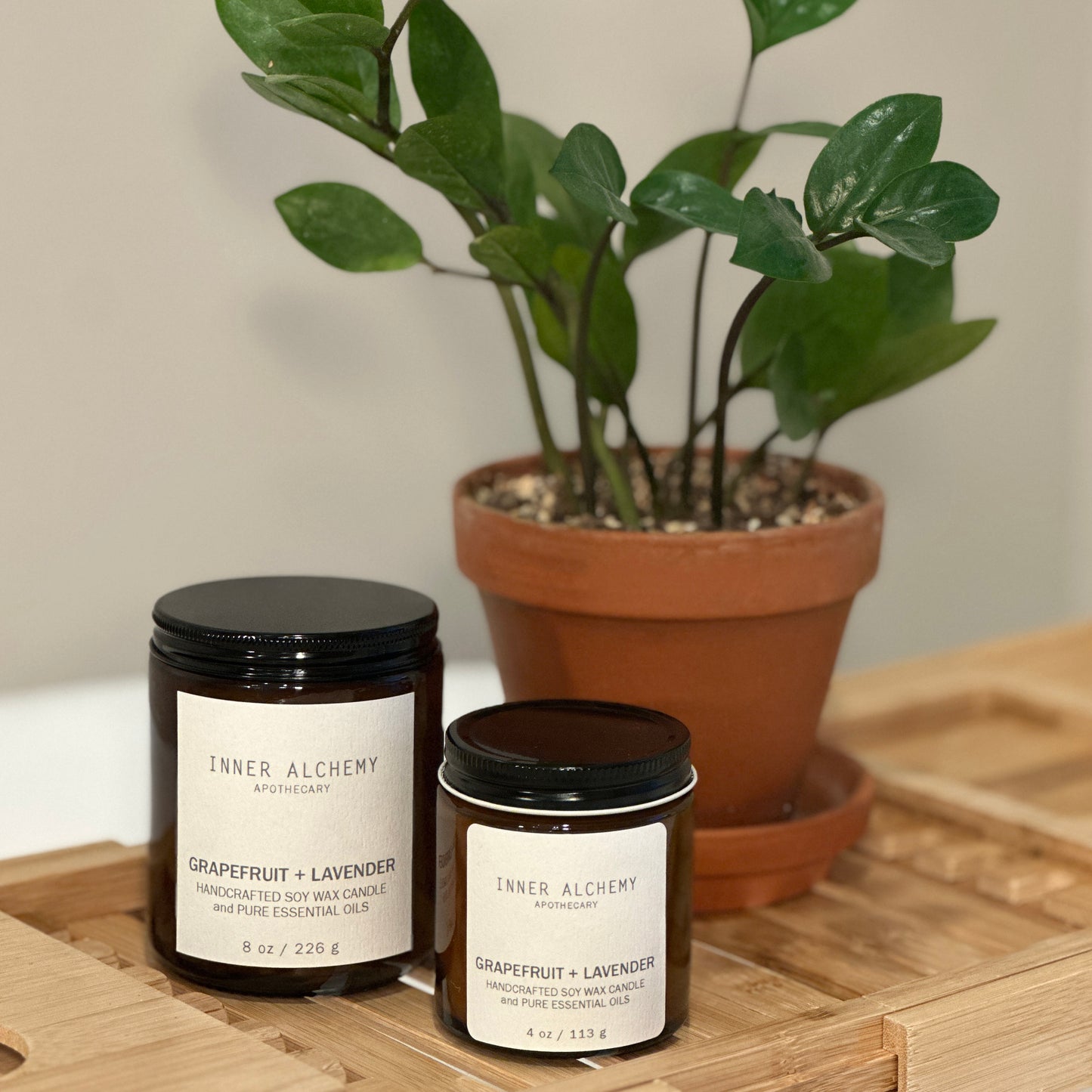 Grapefruit Lavender // Handcrafted Soy Candle // 8 oz